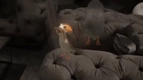 Magic Leap Jumps into the Star Wars Universe with Release of Project Porg App