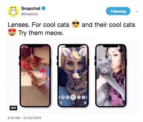 Snapchat Becomes SnapCAT with AR Lenses for Your Feline Friends