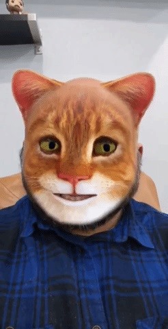 AR Snapshots: Become a Cat for Video Calls, Rock Out as an Elephant, Then Have Fun with Poems & Emojis in AR