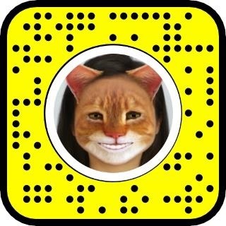 AR Snapshots: Become a Cat for Video Calls, Rock Out as an Elephant, Then Have Fun with Poems & Emojis in AR