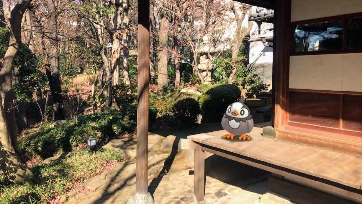New Pokémon GO Augmented Reality Photo Feature Lets You Strike a Pose with Pikachu
