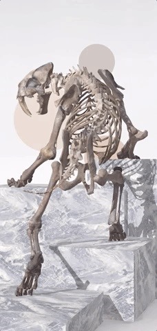 Prehistoric Creatures Return to Life via New iPhone AR App from Celebrity Historian David Attenborough