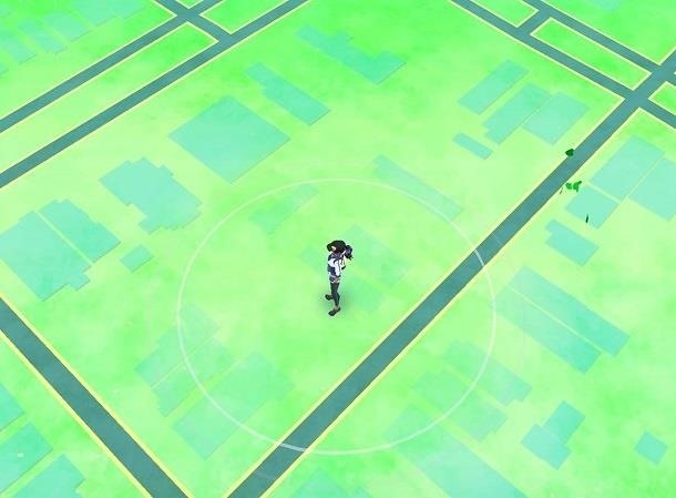 What Do the Leaves Mean in Pokémon GO?