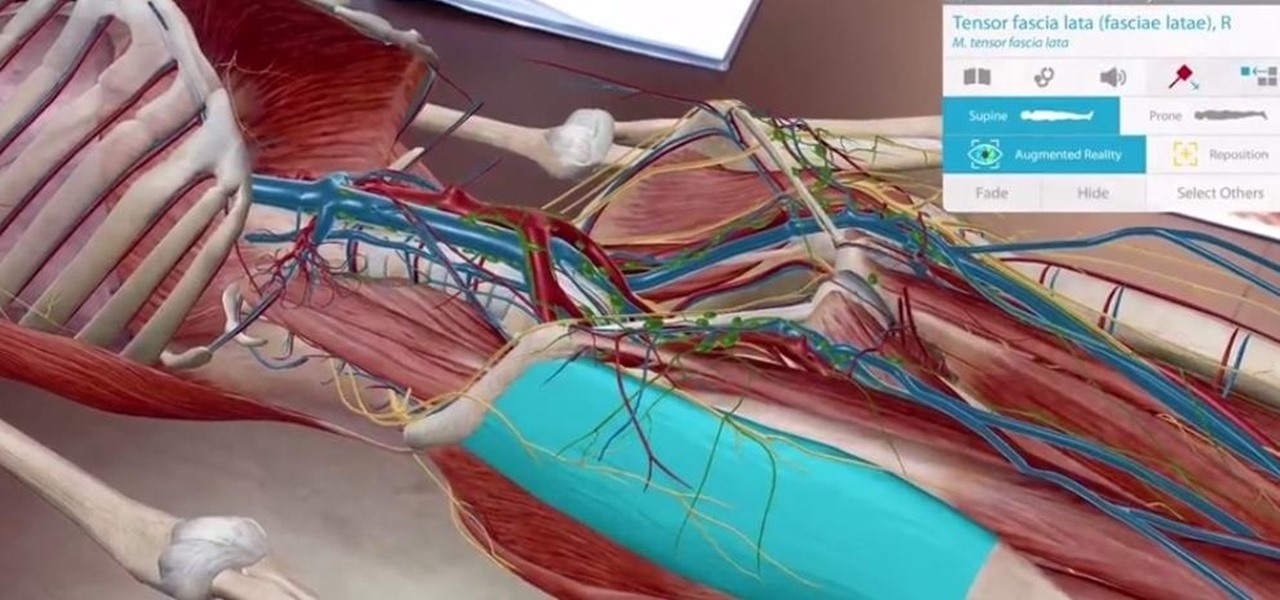 Human Anatomy Atlas Journeys to the Center of the Body with ARKit
