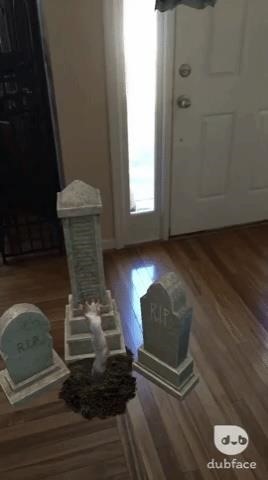 Apple AR: Get in the Halloween Spirit with These Spooky ARKit Apps for iPhone